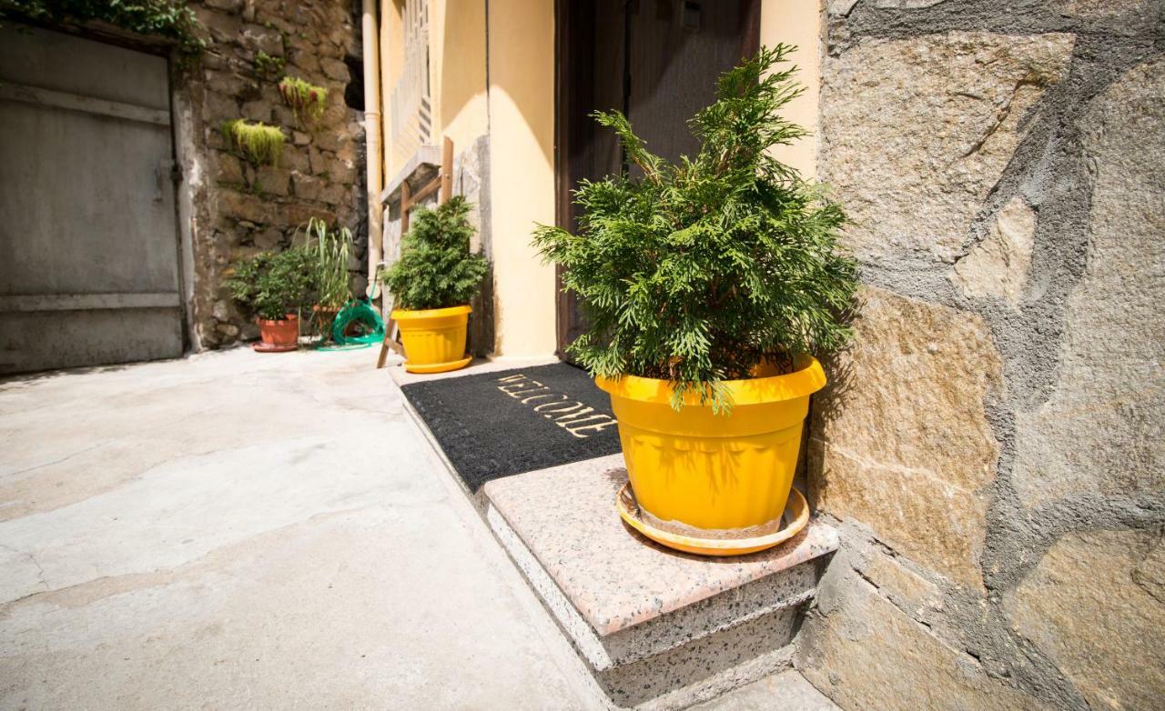 The Rocky House - Central & Private 2Bdr By Flat Mаnager Plovdiv Eksteriør billede